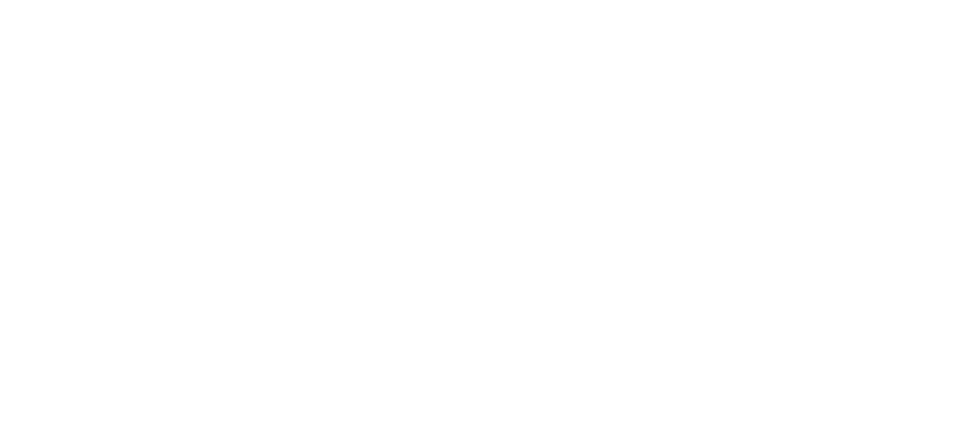 NEO VOICE LTD